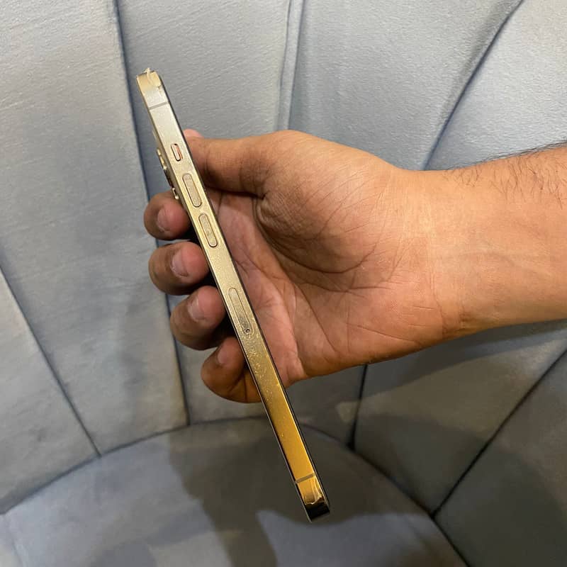 Apple iPhone 12 Pro Max 1