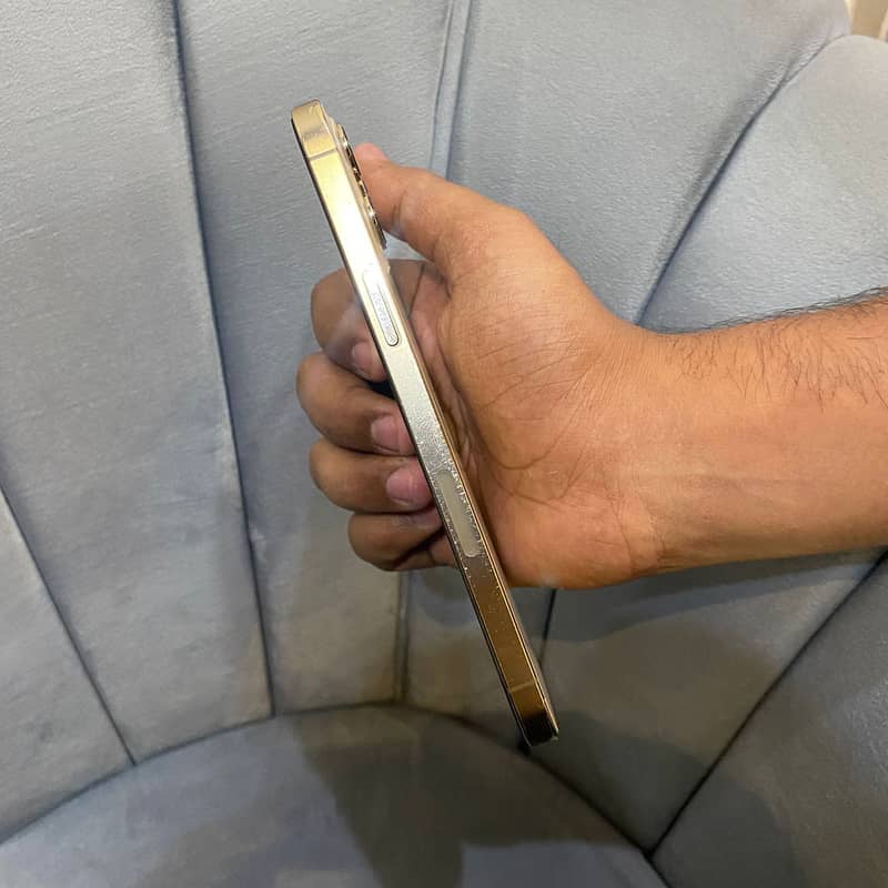 Apple iPhone 12 Pro Max 2