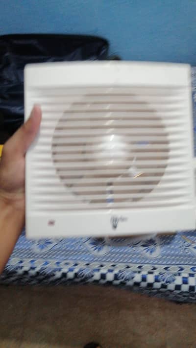 10 inch dubai imparted