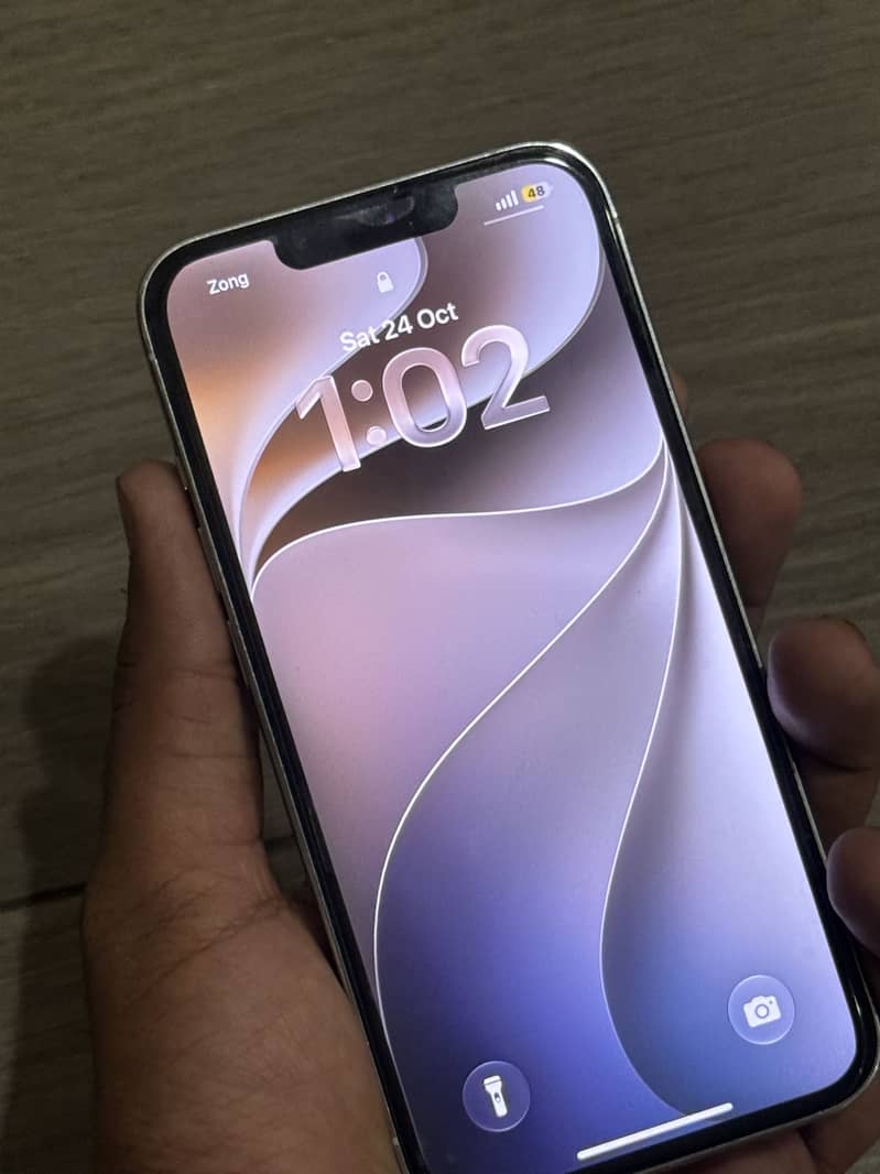 Apple iPhone 13 Pro 1