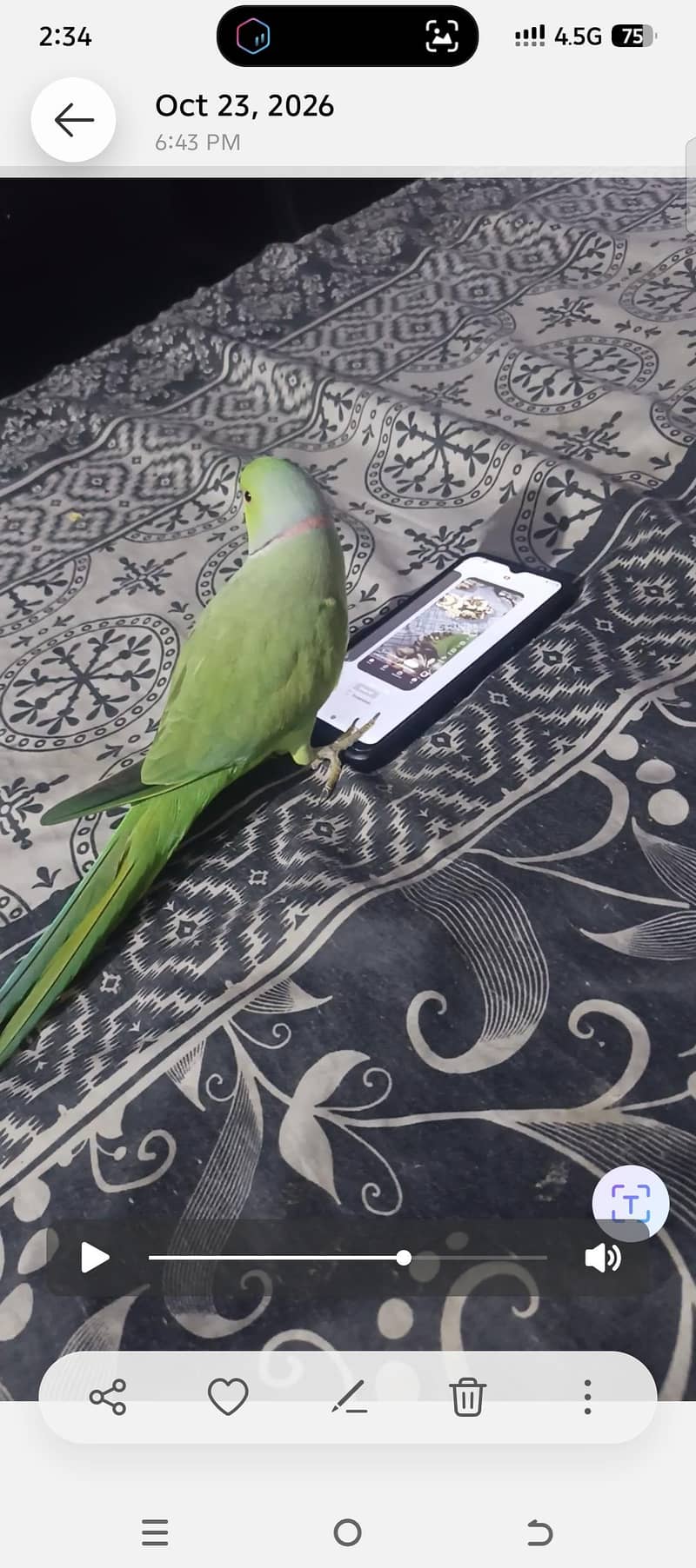 03188777050 2