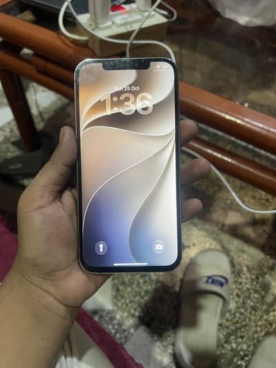 Apple iPhone 12 Pro Max