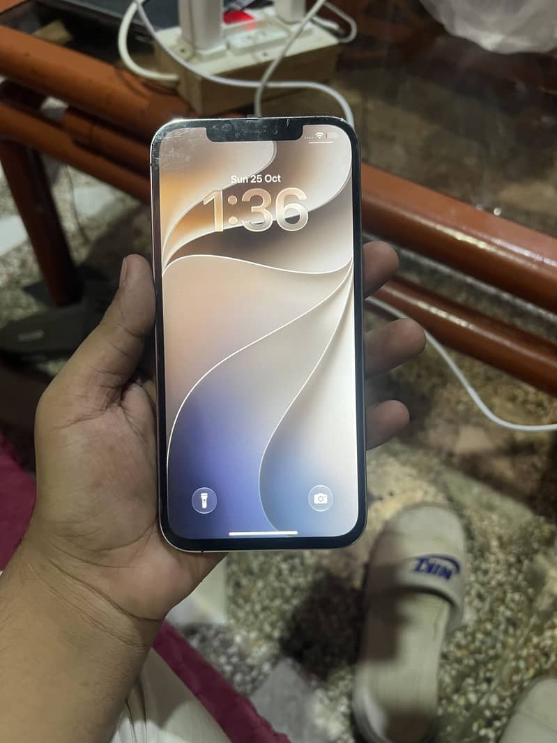 Apple iPhone 12 Pro Max 0