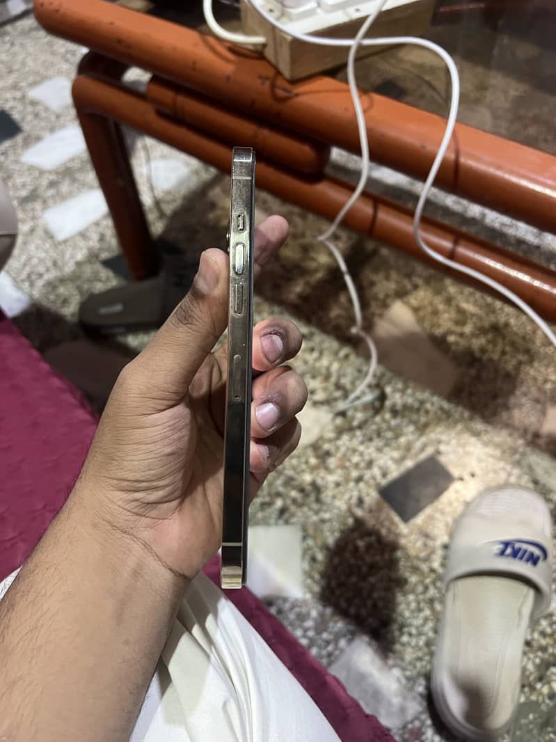 Apple iPhone 12 Pro Max 1