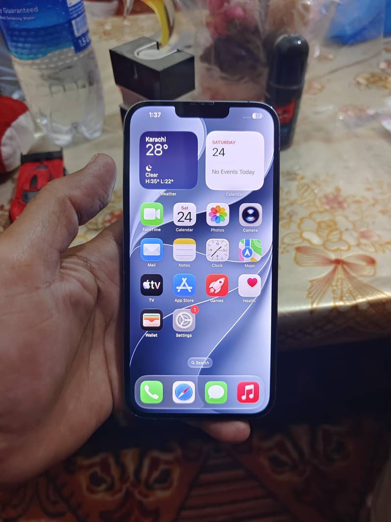 Apple iPhone 13 Pro Max 1