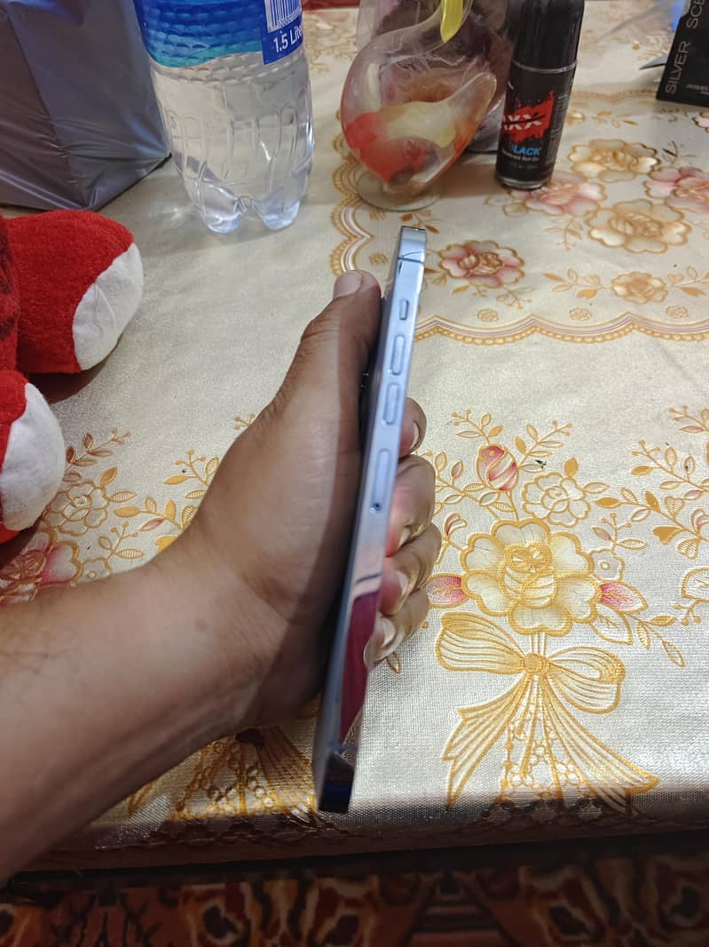 Apple iPhone 13 Pro Max 3