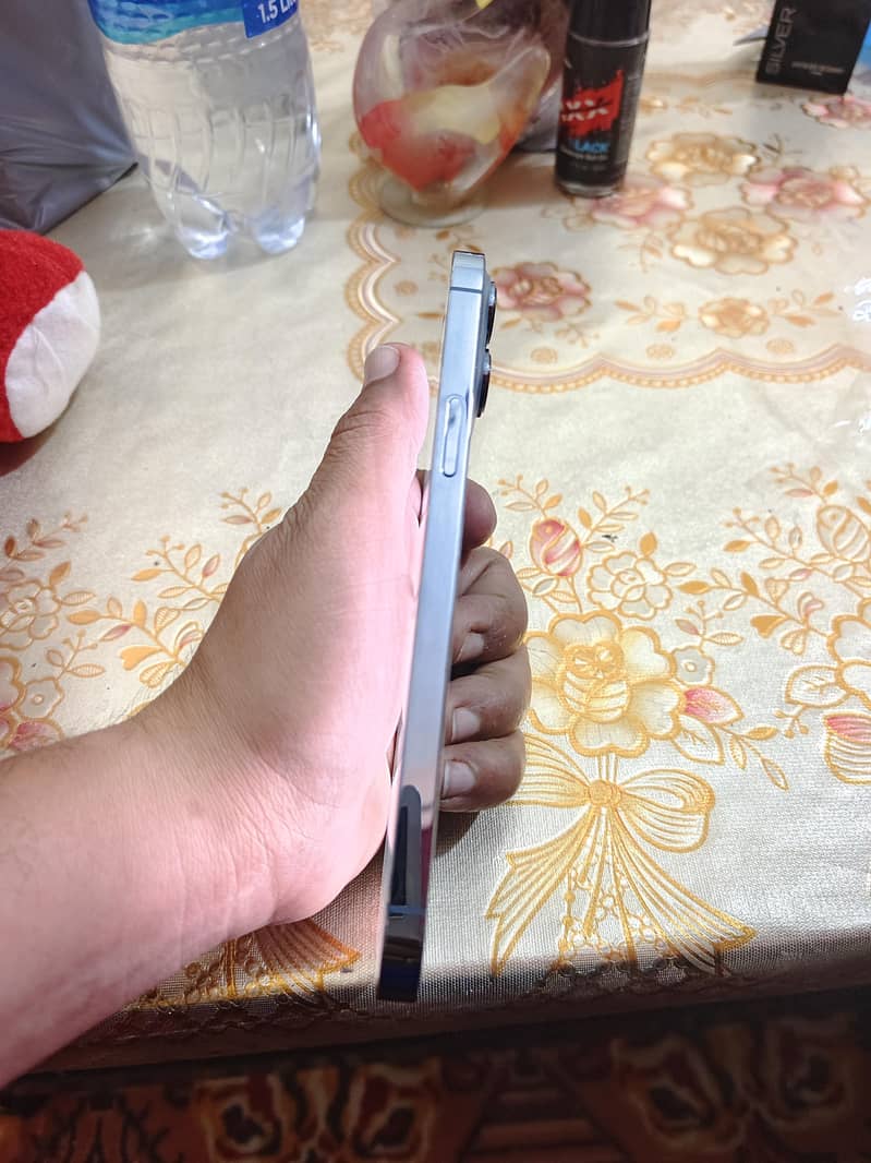 Apple iPhone 13 Pro Max 4