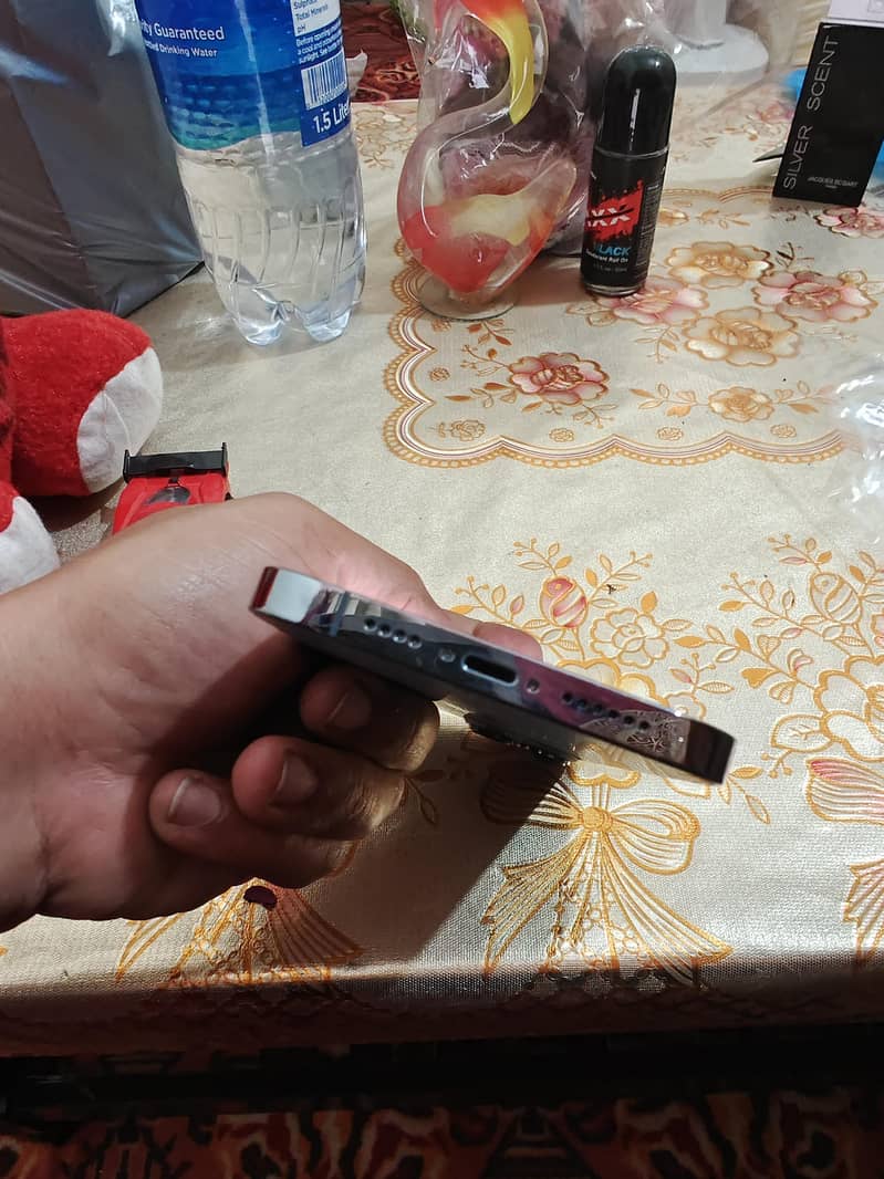 Apple iPhone 13 Pro Max 5