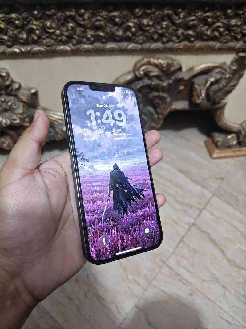 Apple iPhone 13 Pro Max 1