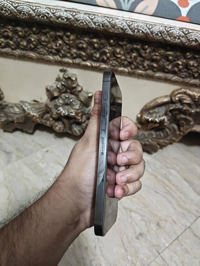 Apple iPhone 13 Pro Max 2