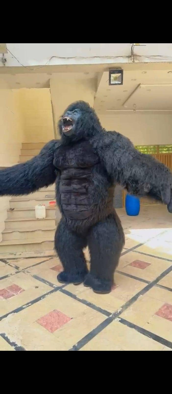 gorillafun 1