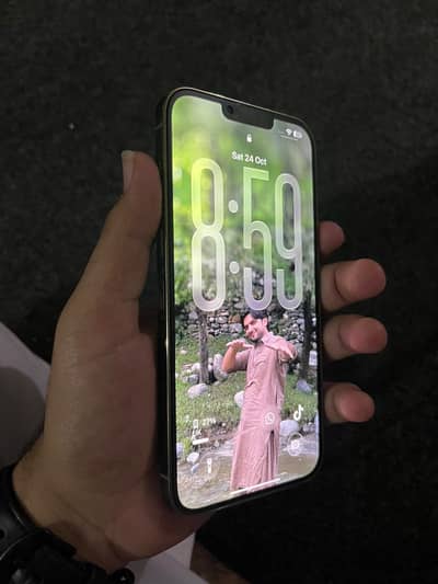 Apple iPhone 13 Pro Max