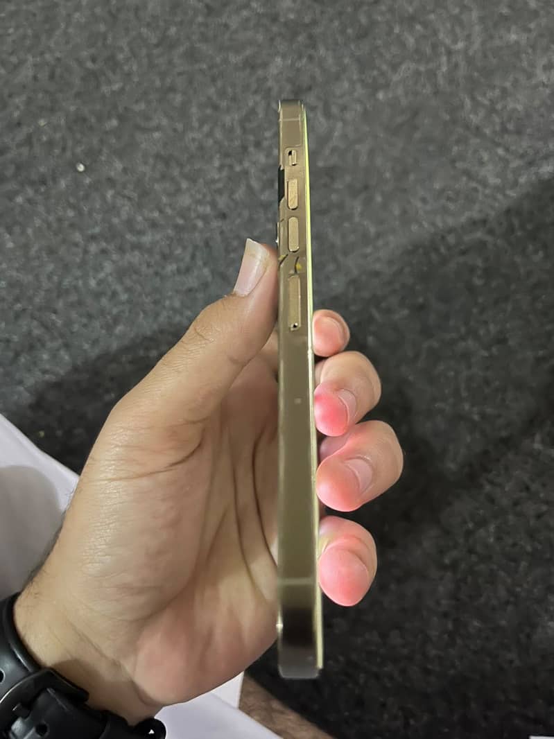 Apple iPhone 13 Pro Max 1