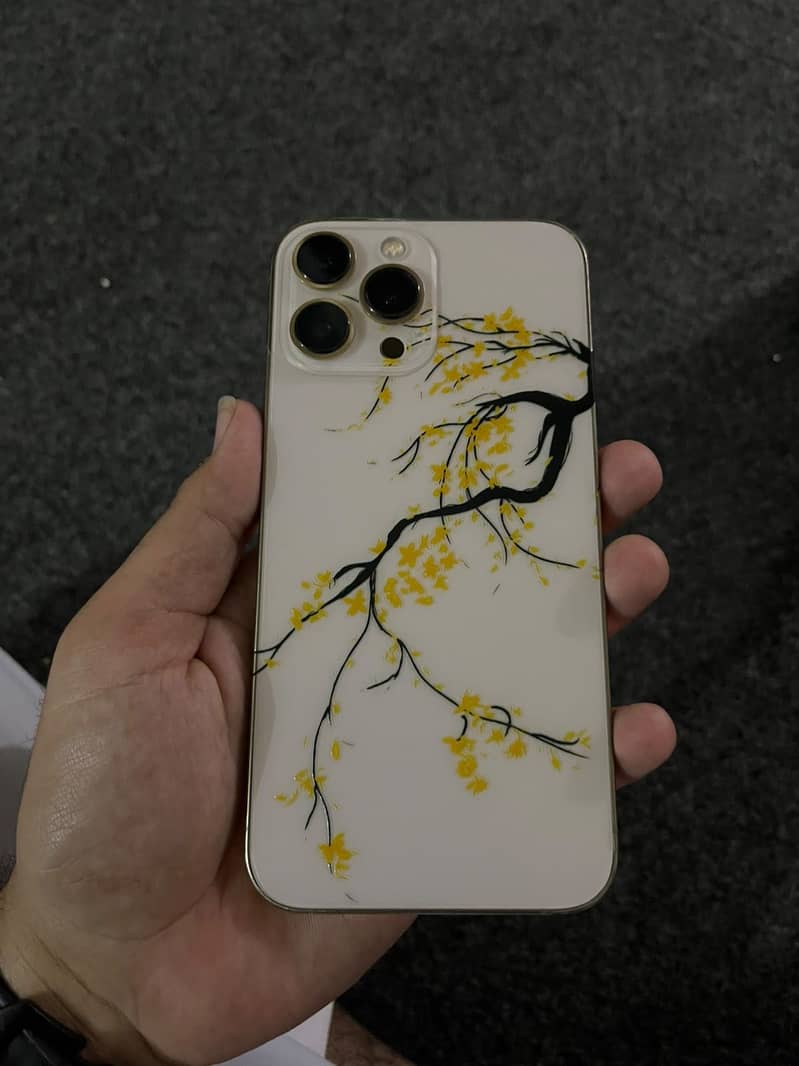 Apple iPhone 13 Pro Max 2