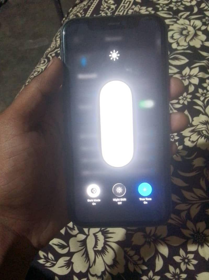 Apple iPhone 11 2