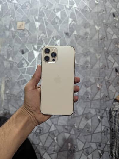 Apple iPhone 12 Pro Max