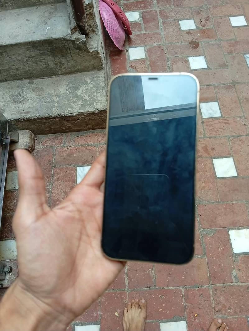 Apple iPhone 12 Pro Max 1
