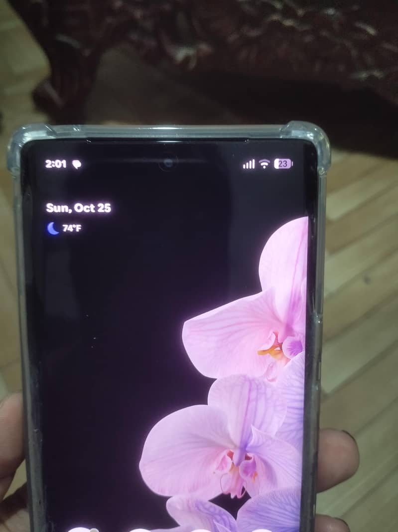 Google Pixel 6 Pro 1