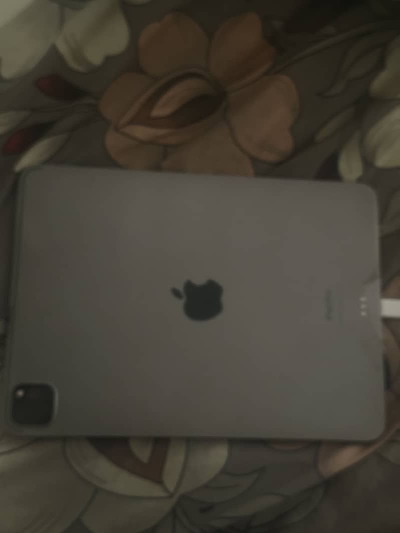 IPAD PRO M2 4