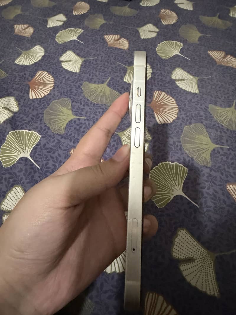 Apple iPhone 13 2