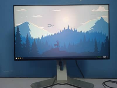 Dell UltraSharp U2419H 24" Borderless IPS