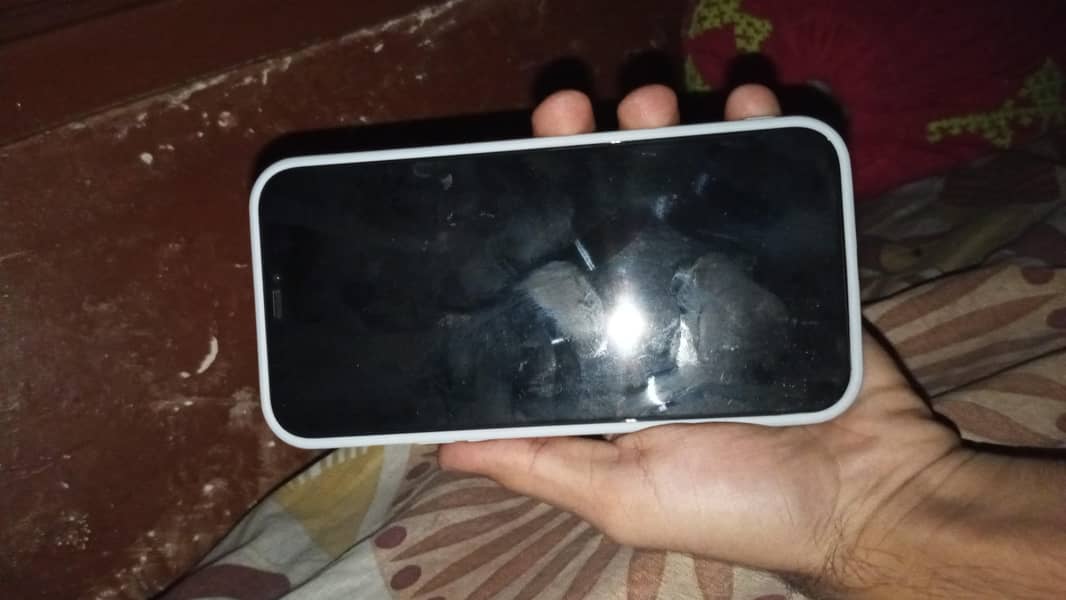 Apple iPhone 12 Pro Max 0