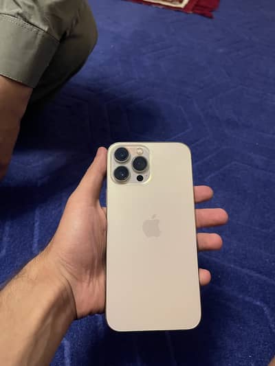 Apple iPhone 13 Pro Max