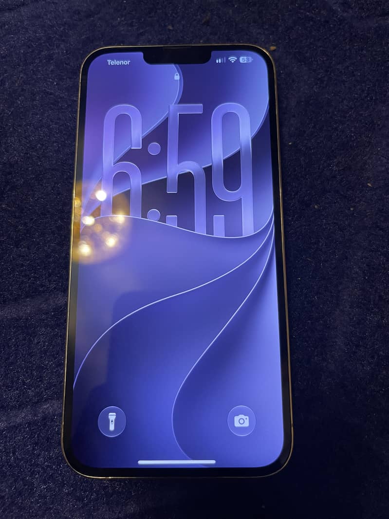 Apple iPhone 13 Pro Max 1