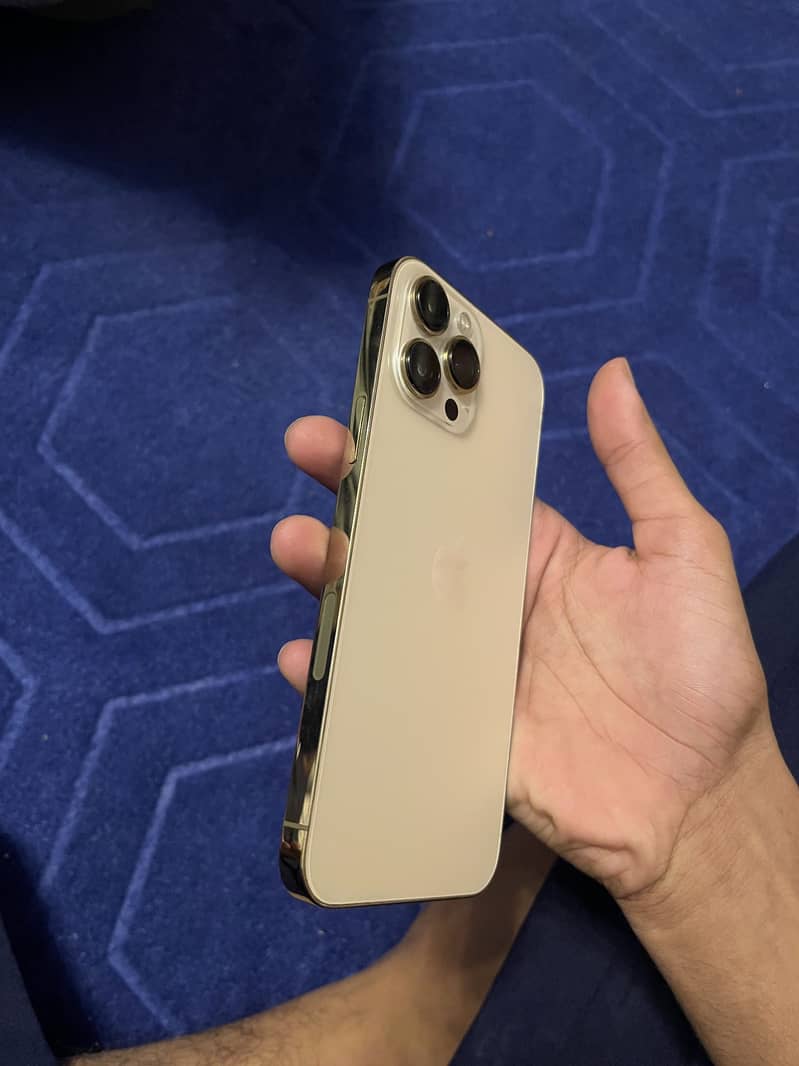 Apple iPhone 13 Pro Max 2