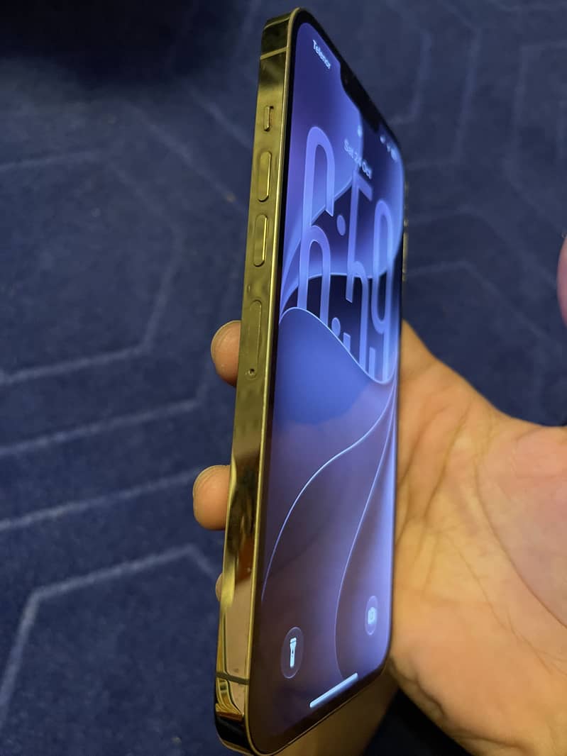 Apple iPhone 13 Pro Max 3