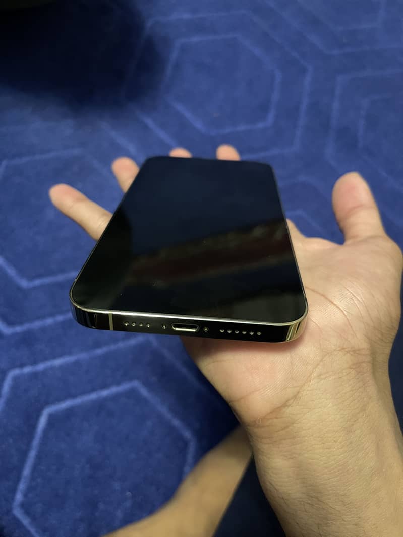 Apple iPhone 13 Pro Max 5