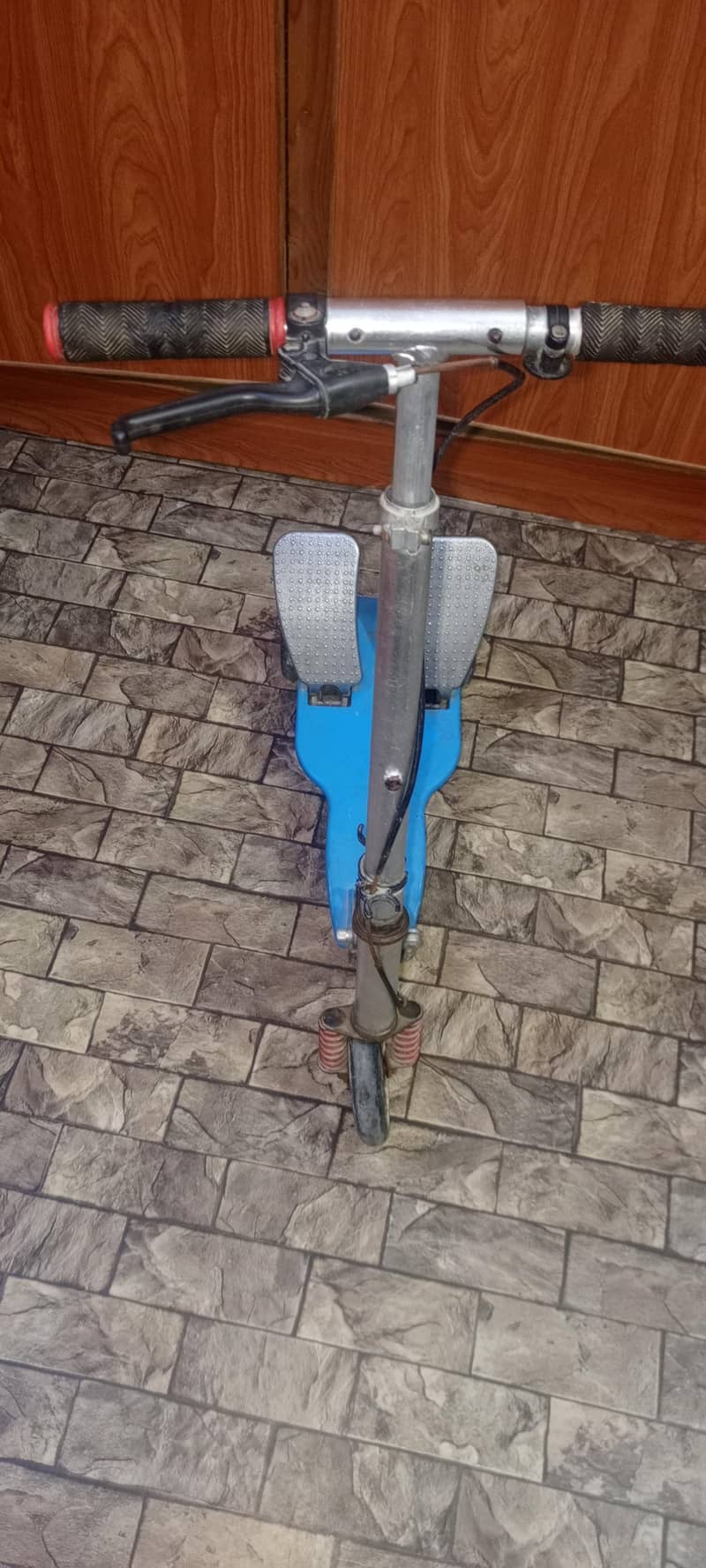 pandel scooty 1