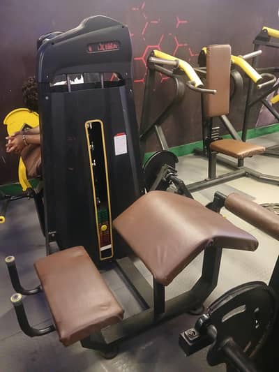 leg press shoaib sports company front extension reverse curls