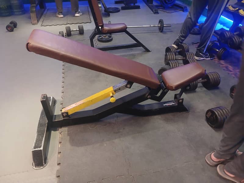 Decline press 1