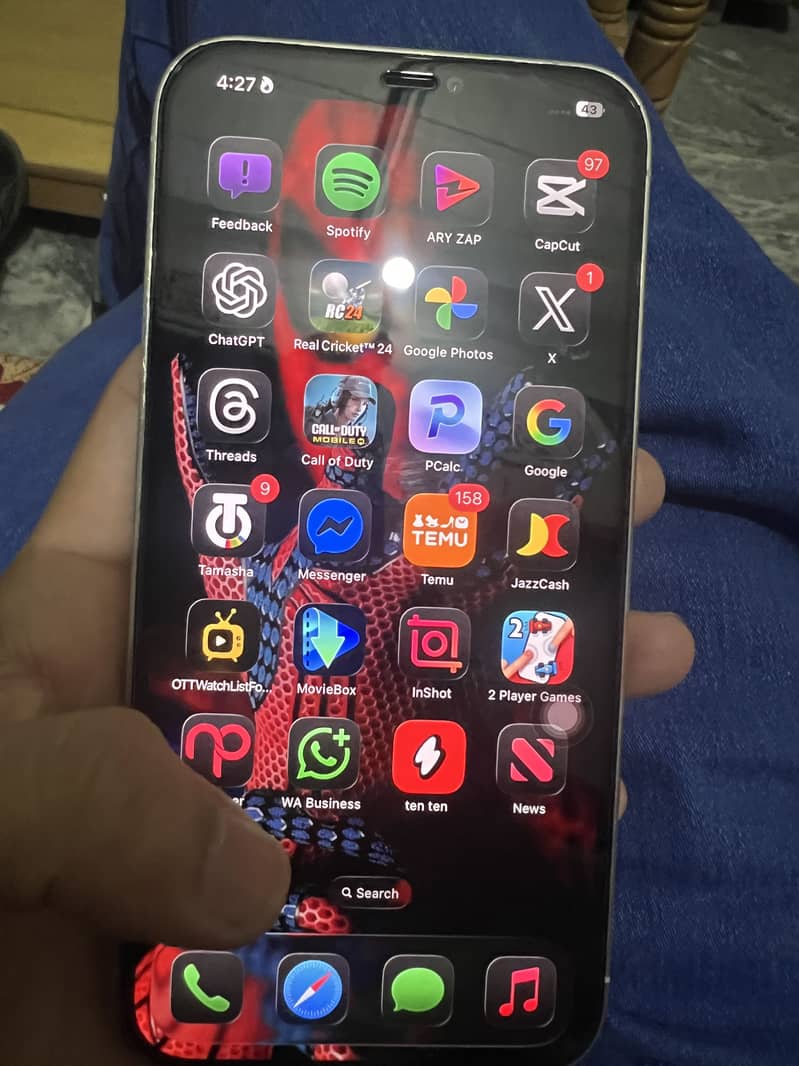 Apple iPhone 12 Pro Max 1