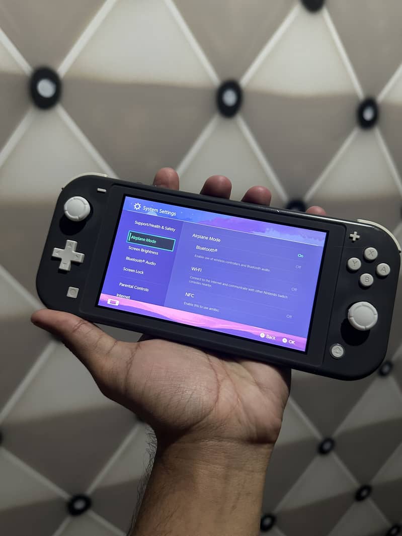 Nintendo Switch Lite [Jailbroken] 3
