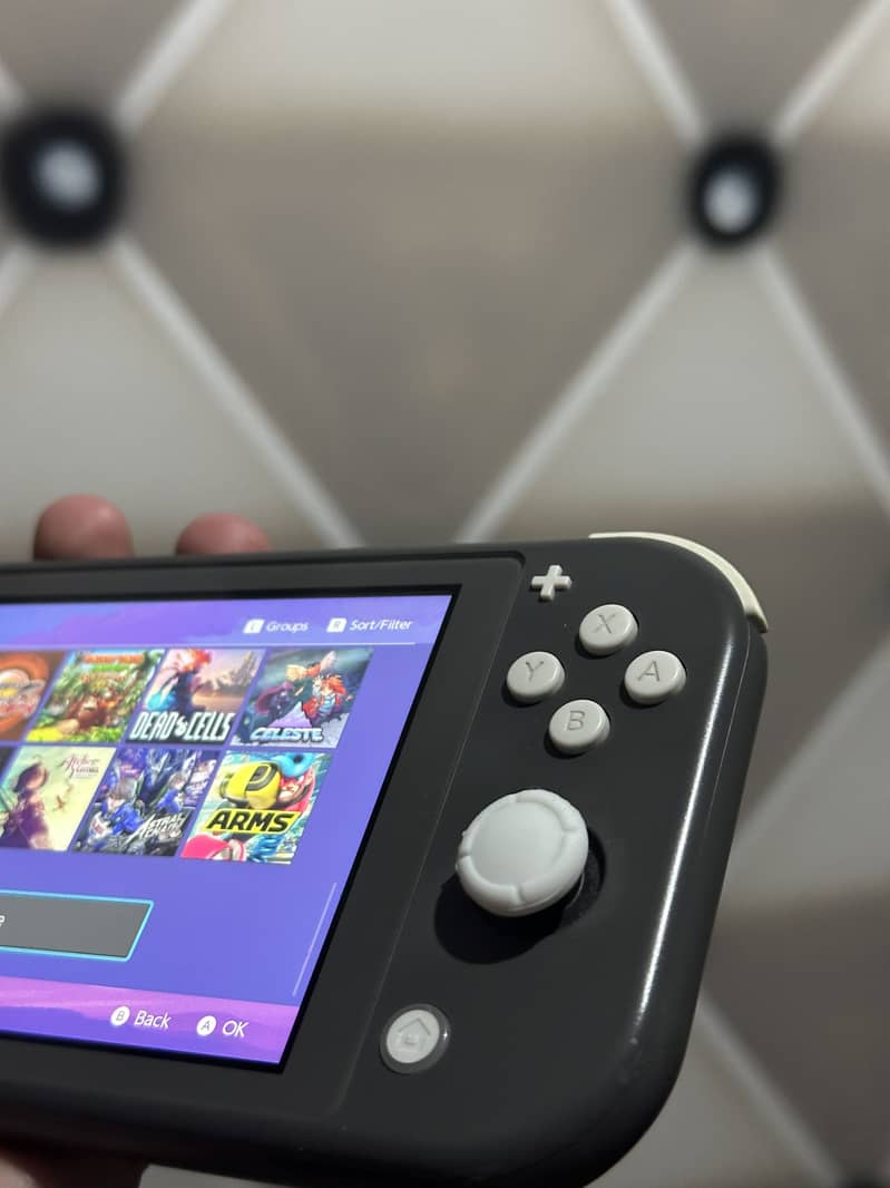 Nintendo Switch Lite [Jailbroken] 7