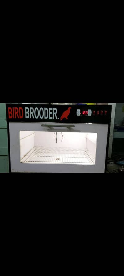 Parrots Chicks Brooder for sale