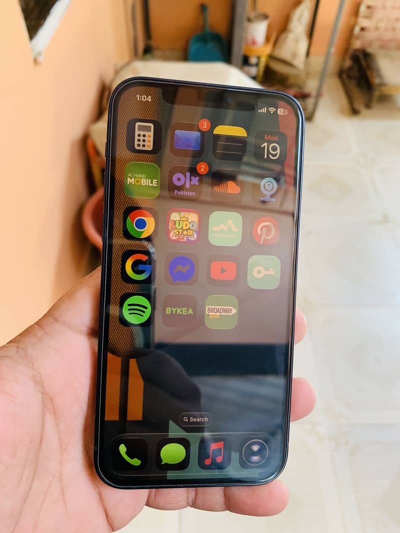 Apple iPhone 12 1