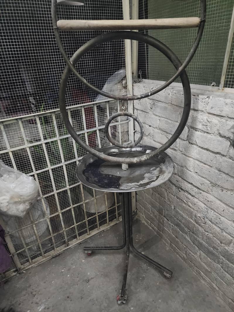 Bird stand 0