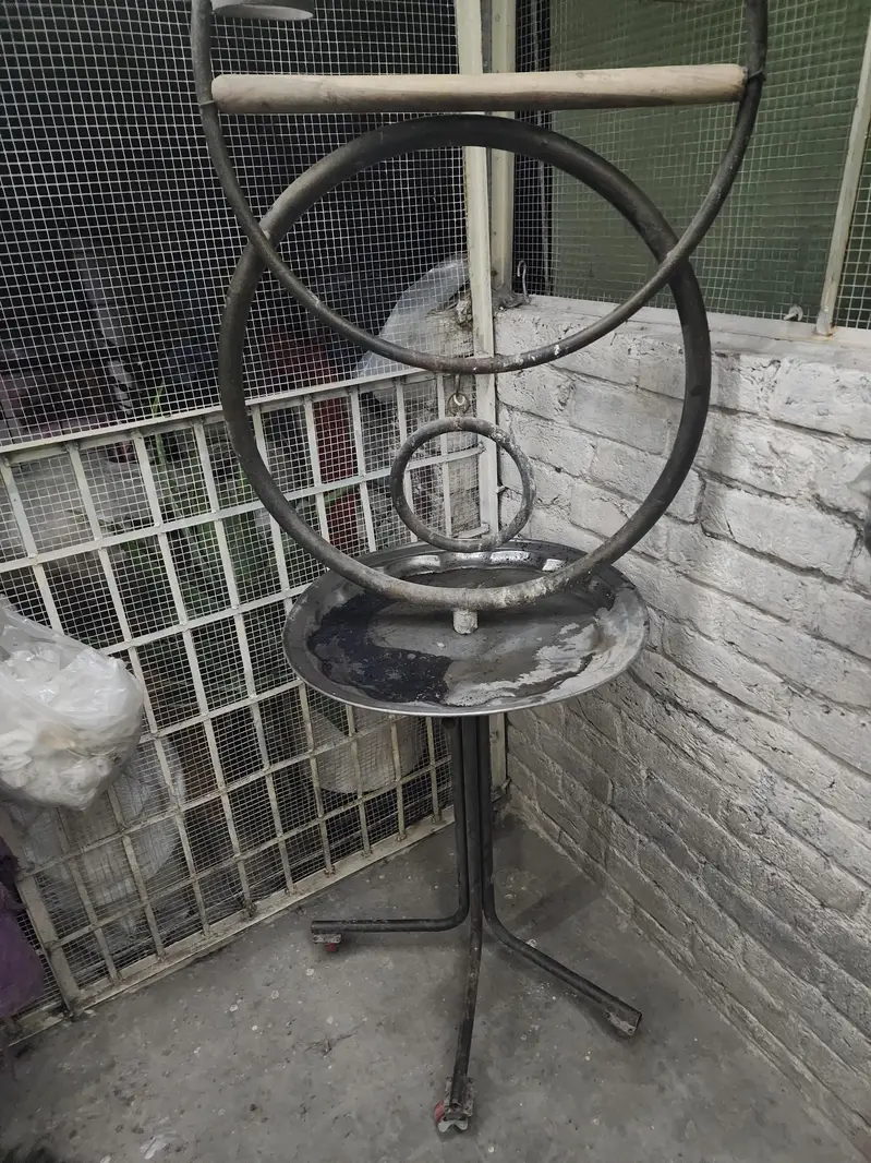 Bird stand