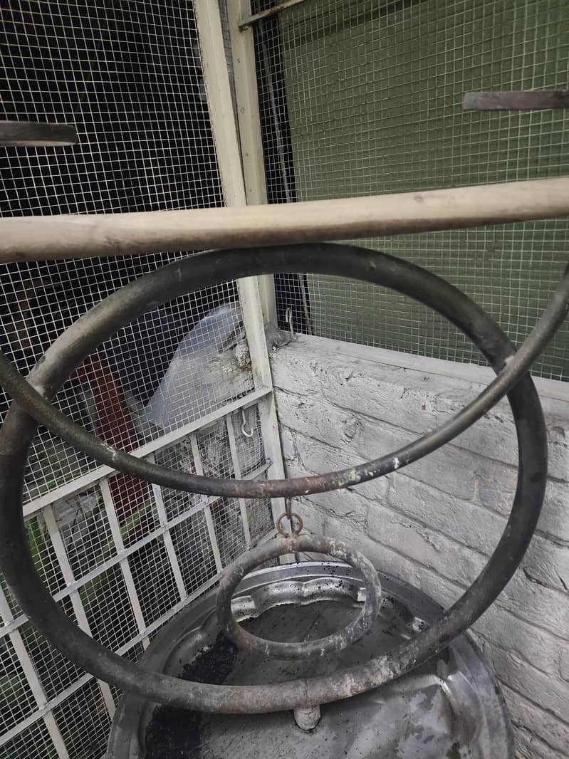 Bird stand 2