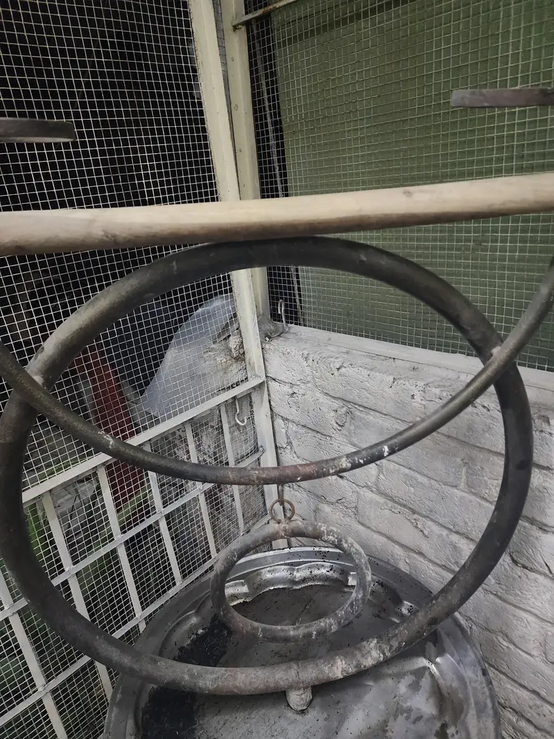 Bird stand — photo 3