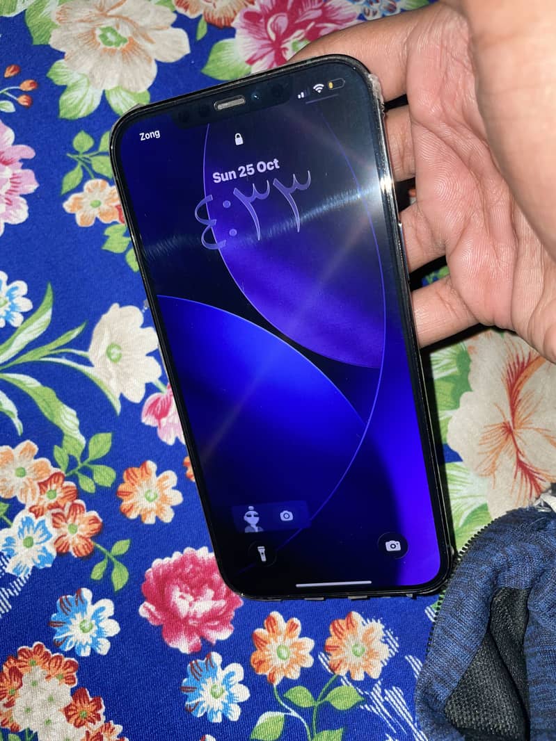 Apple iPhone 12 Pro Max FU 3