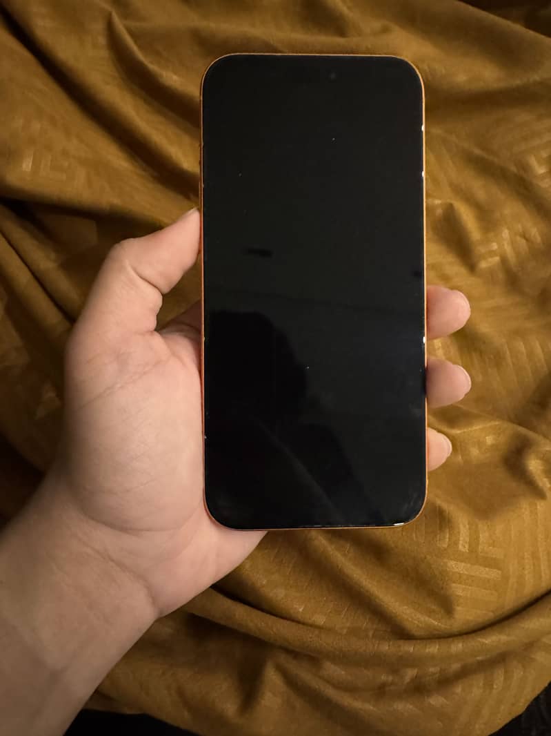 Apple iPhone 17 Pro Max 1