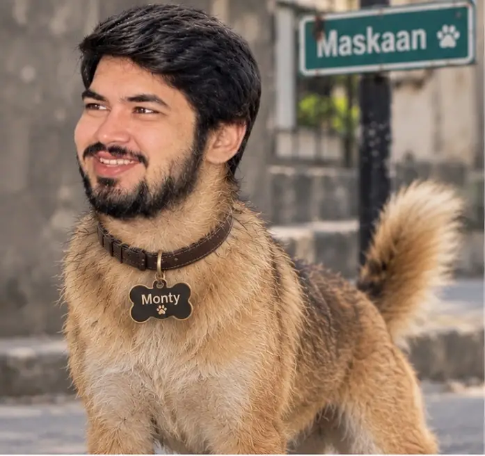 Husky cross — photo 3