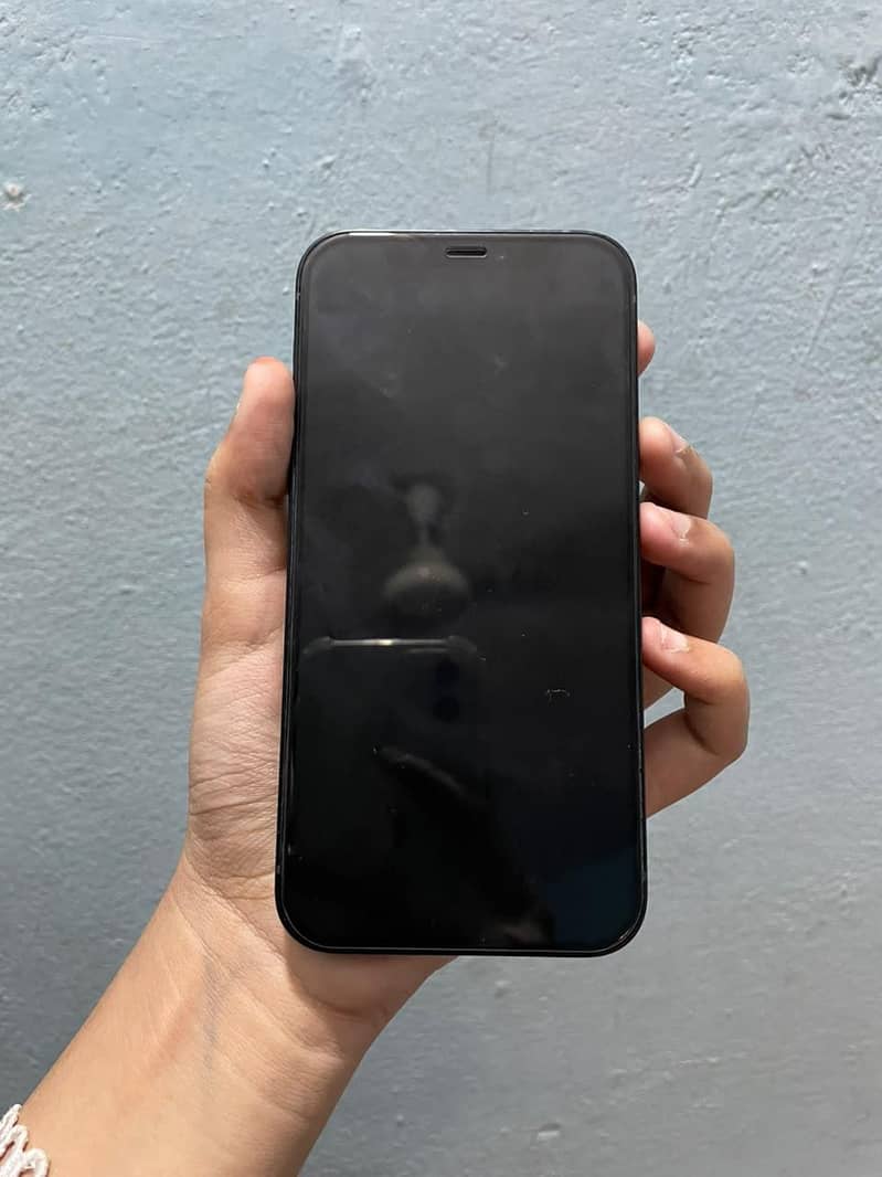 Apple iPhone 12 1