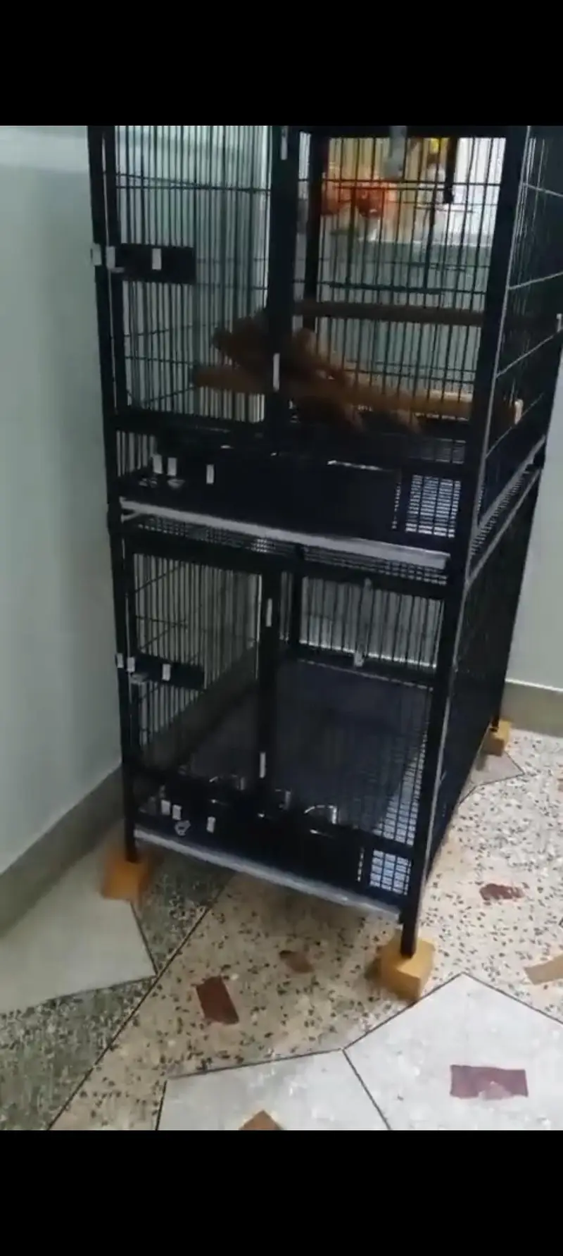 cage for sale