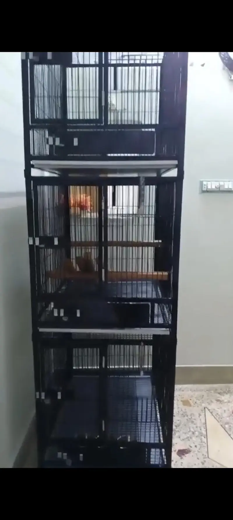 cage for sale — photo 2