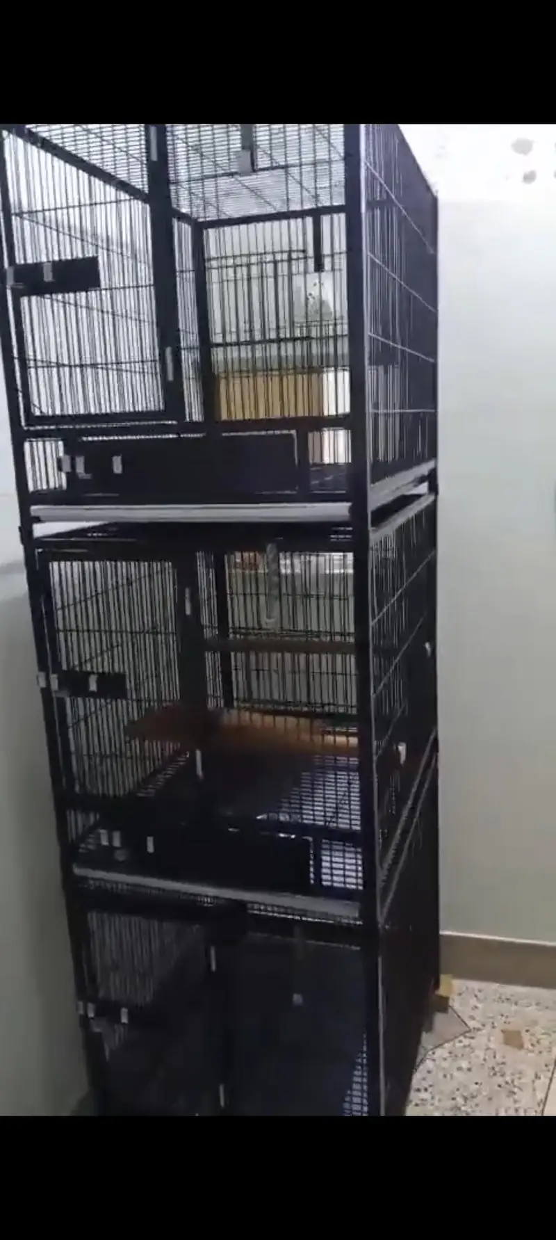 cage for sale — photo 3